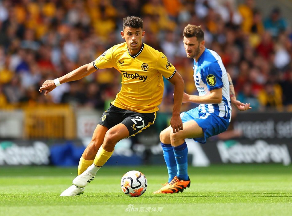 的表现感到 的表现感到