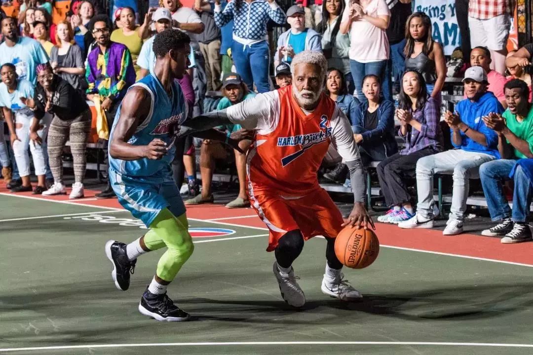 也擅长利用 也擅长利用