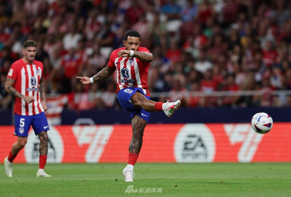 这不仅展示 这不仅展示